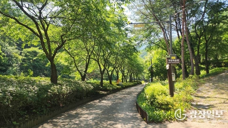 명지계속 산책로