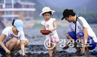 갯뻘체험