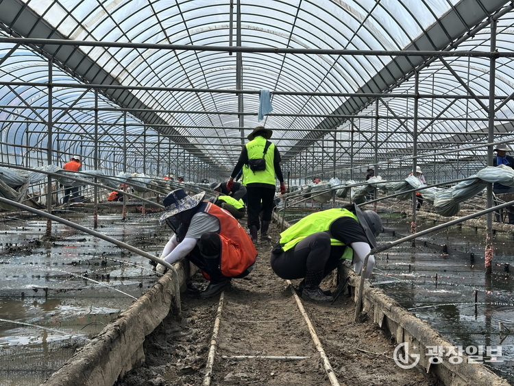 사진제공-(사)광주시자원봉사센터