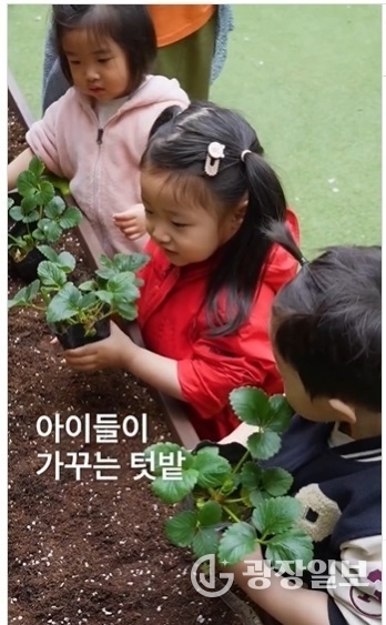 청운어린이집 텃밭 교육 