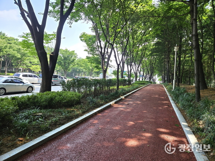 백마로 미세먼지 저감 도시숲 사업지