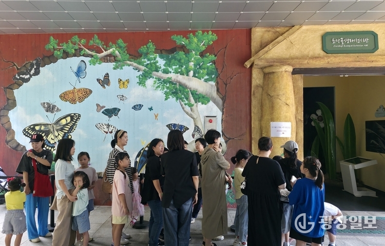 군포반딧불이체험