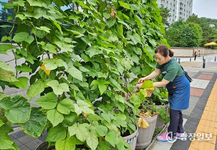 양주시, ‘찾아가는 도시농업서비스’ 본격 추진