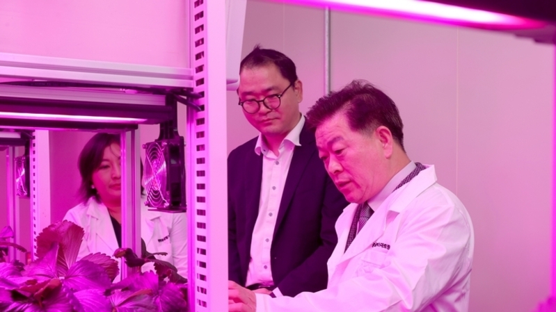 광명시, ‘광명동굴 딸기 스마트팜’ 개소…도시농업·관광·일자리 선순환 구축