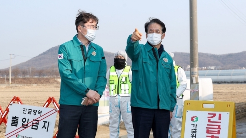 고양 한우농가 구제역 의심…24시간 이동중지·133마리 살처분