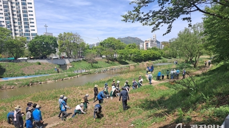 안양시, 시민참여형 생태계 교란식물 제거활동 참가자 모집