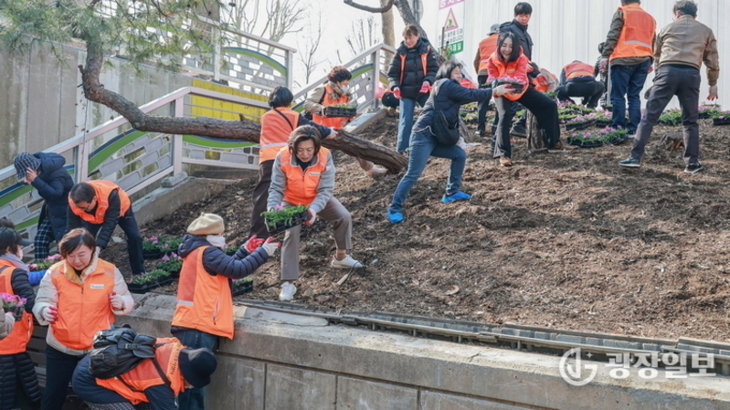 꽃길로 변신한 굴다리시장 보행로…과천시, 시민과 함께 꽃 심기 행사