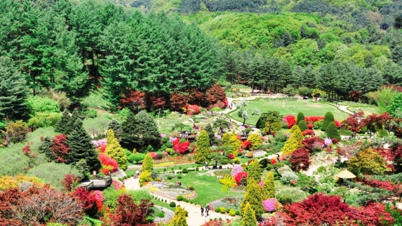 가평 상면, 4월 1일 수목원 무료 개방…주민 신분증 지참 필수