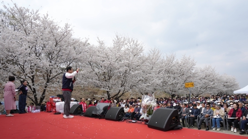 '벚꽃 터널 속으로' 2026 하남 봄봄 문화축제 성황리 종료