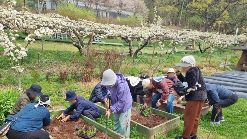 남양주시, 경증 치매 환자·가족 위한 치유농업 프로그램 운영