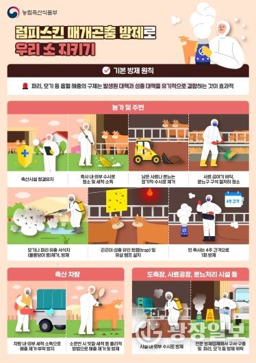 홍천군, 럼피스킨 백신 일제 추가 접종 실시