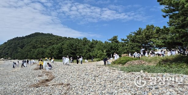 해안가 정화활동 사진