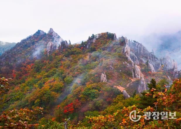 금상 어승완 공룡능선의비경(경기 군포)