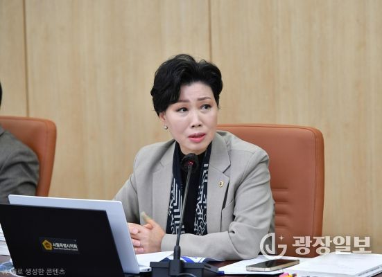 서울시의회 최재란 의원