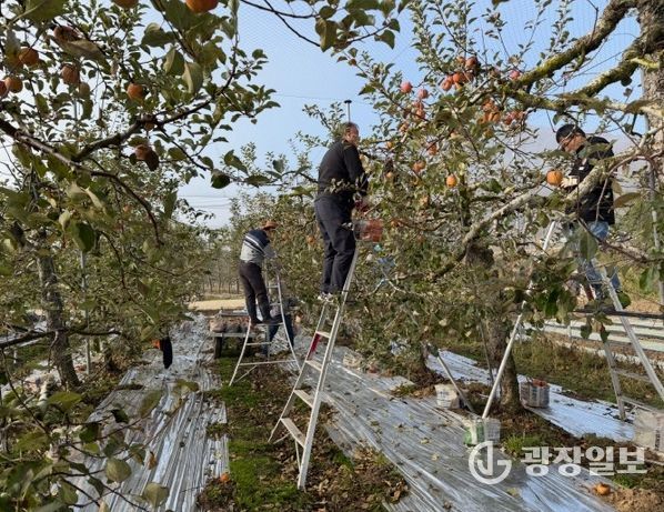주택관리공단 대구경북지사, 농촌 일손돕기