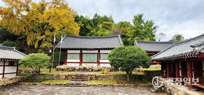 노란 은행잎 물드는 11월, 문학과 역사의 숨결 ‘이균영’을 찾아 - 관광과(故이균영 작가가 어린시절 뛰놀던 광양향교의 은행잎이 노랗게 물들었다)