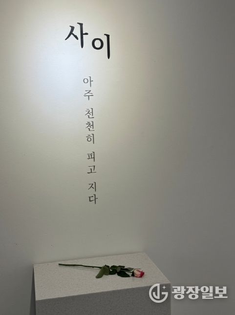 박소은 작가 초대전 <사이, 그리고 꽃> 개최