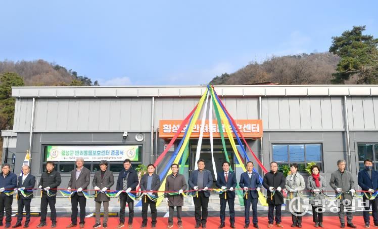 횡성군, 반려동물 보호센터 준공..12월 시범운영 돌입