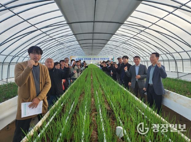 서천군, 쪽파 양액재배로 연 6~8기작 주년생산 체계 구축 성공