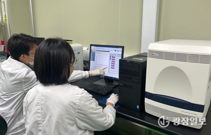 노로바이러스 검사