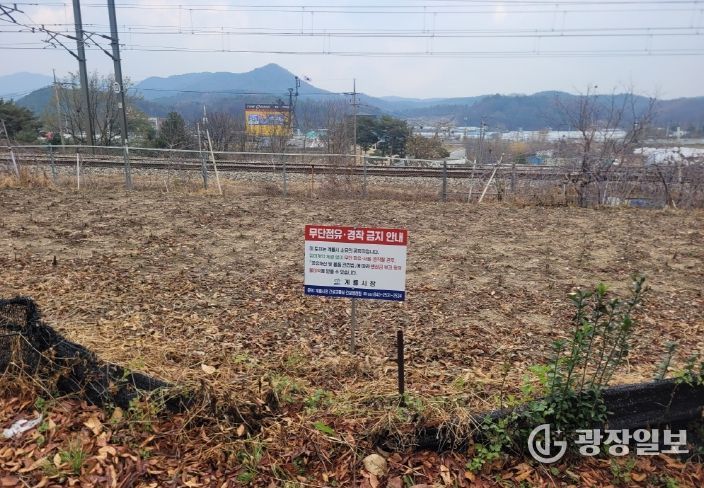 무단점유 일제정리