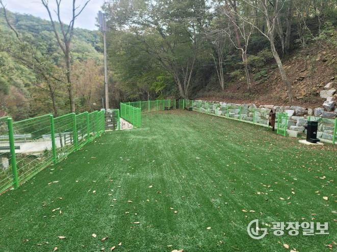 산삼자연휴양림 반려견놀이터 전경사진