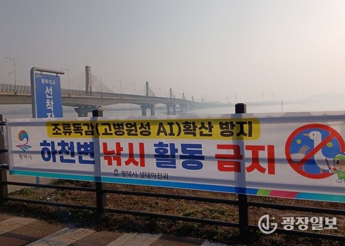 평택시, 고병원성 조류인플루엔자 확산 방지를 위해 하천 내 낚시행위 금지 계도 나서