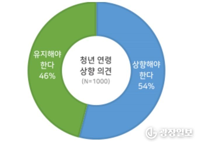 청년 연령 기준 상향 의견