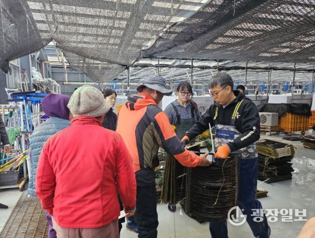 기장군, 해조류 종자생산 연구성과물 어업현장 보급