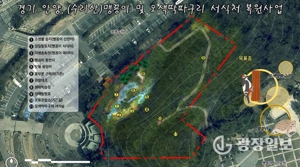 안양시, 병목안시민공원 맹꽁이・오색딱따구리 서식처 복원…국비 4.4억 확보