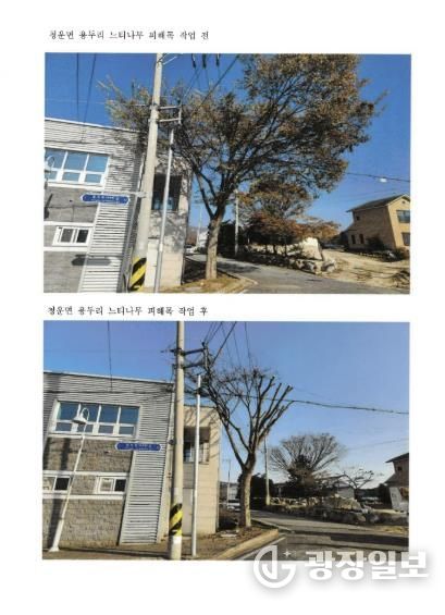 군민 생활주변 위험수목 처리 지원사업