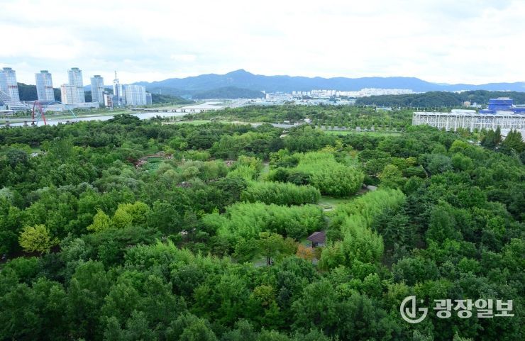 대전시 기후대응숲 3년 동안 19.3㏊ 조성