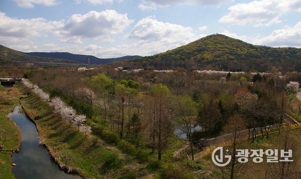 도란도란 유아숲체험원 개방 지역