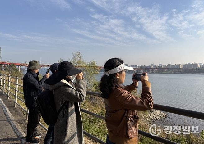 겨울새 탐조(서울숲공원)