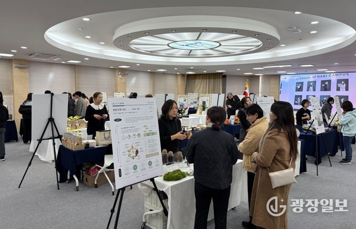 정선군, 나비캠퍼스 성과공유 통해 청년 정책 성과 조명