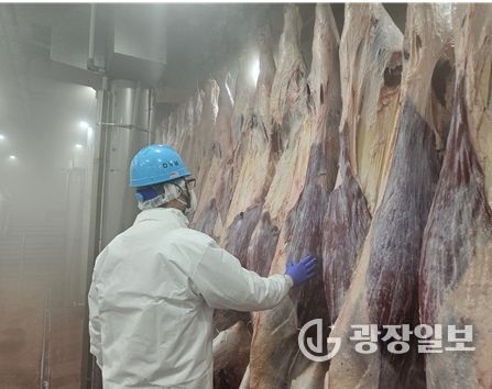 설 명절 축산물 안정적 공급 위해 도축장 조기 개장