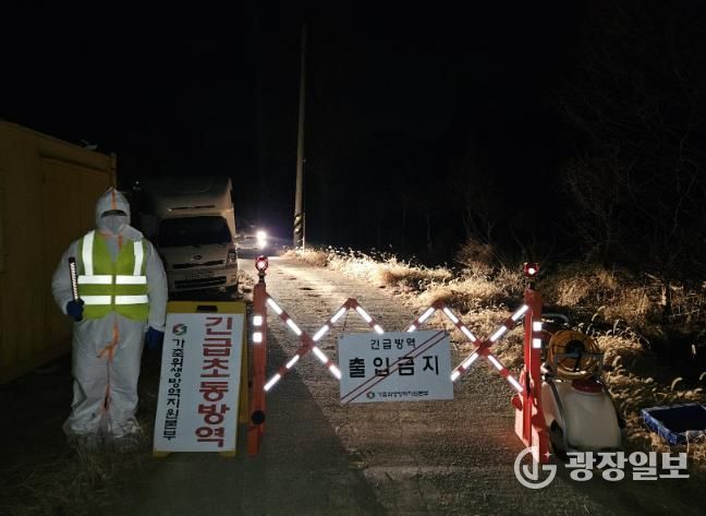 농장 반역 사진