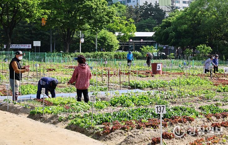 남동구, 2026년 남동 실버농장 참여자 모집(실버농장)