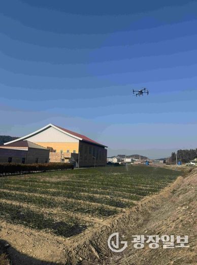 고흥 조생양파 방제 사진