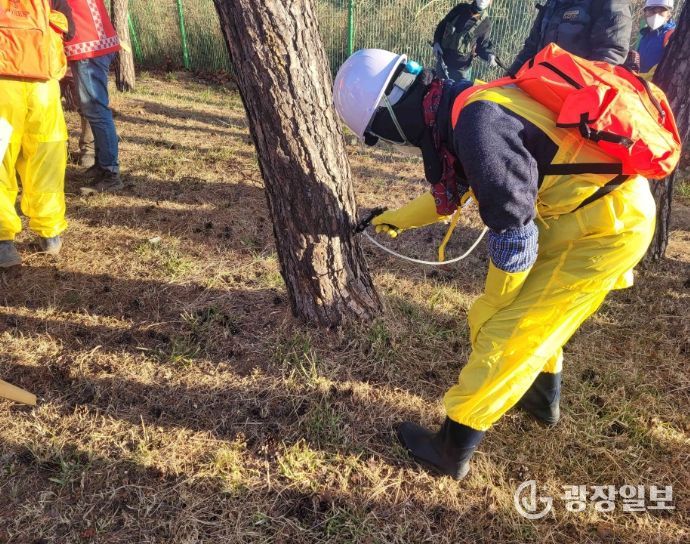 상반기 소나무재선충병 예방사업 추진..255ha 집중 관리