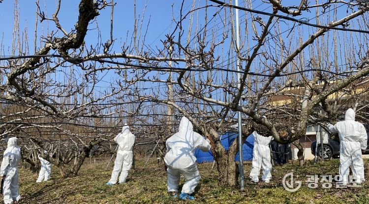 병해충 방제 약제 지원 신청 접수