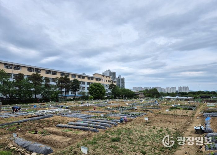 구리시, 「2026년 토평동 구리도시텃밭」운영