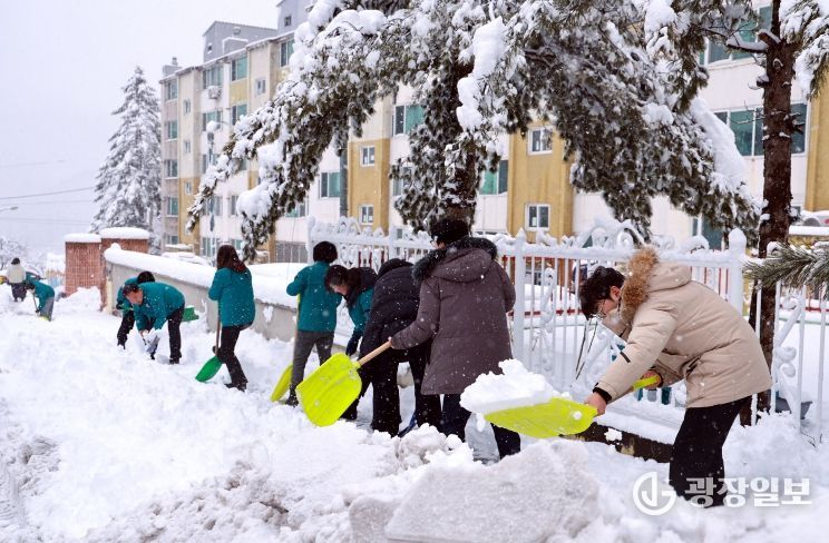 태백지역 폭설, 전 공무원 투입 제설 총력 대응