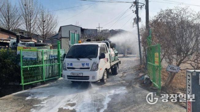 양돈농가특별방역