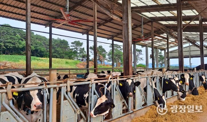 여주시, 225억 원 투입 ‘2026년 축산·방역 지원사업’ 추진