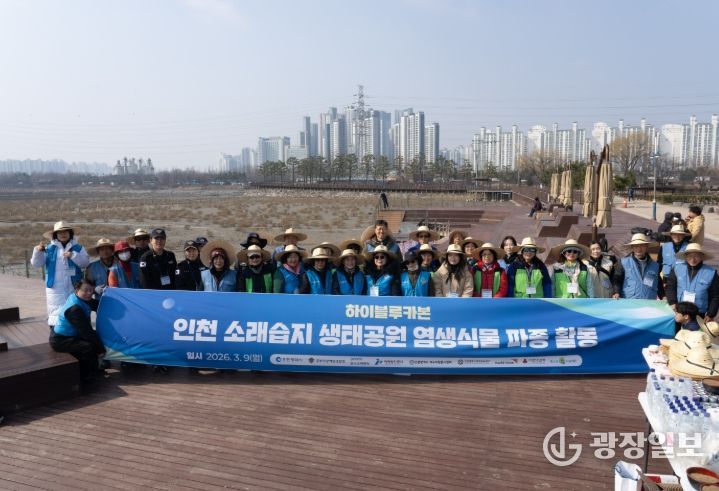 래습지서 갯벌 생태계 복원을 위한 염생식물 파종 실시