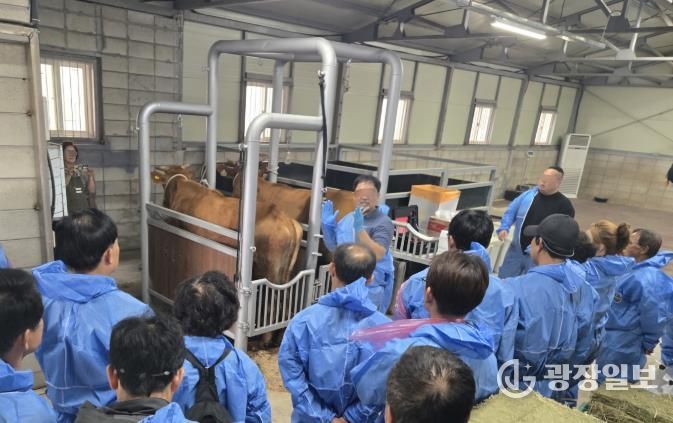 경기도, 가축인공수정사 대상 안전장구 지원. 기술교육 추진