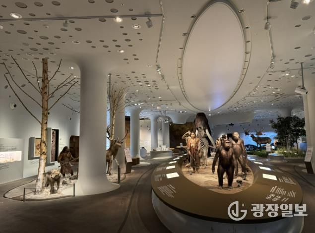 경기문화재단 전곡선사박물관, 상설전시실 전면 개편…42cm '초대형 주먹찌르개' 최초 공개