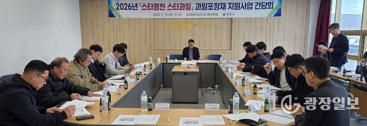 지난 13일 금호농협 강남지점 회의실에서 지역농협 포장재 판매 담당자와 제작업체 관계자 등이 참석한 가운데, '스타영천 스타과일' 과일포장재 지원사업 간담회가 개최됐다.