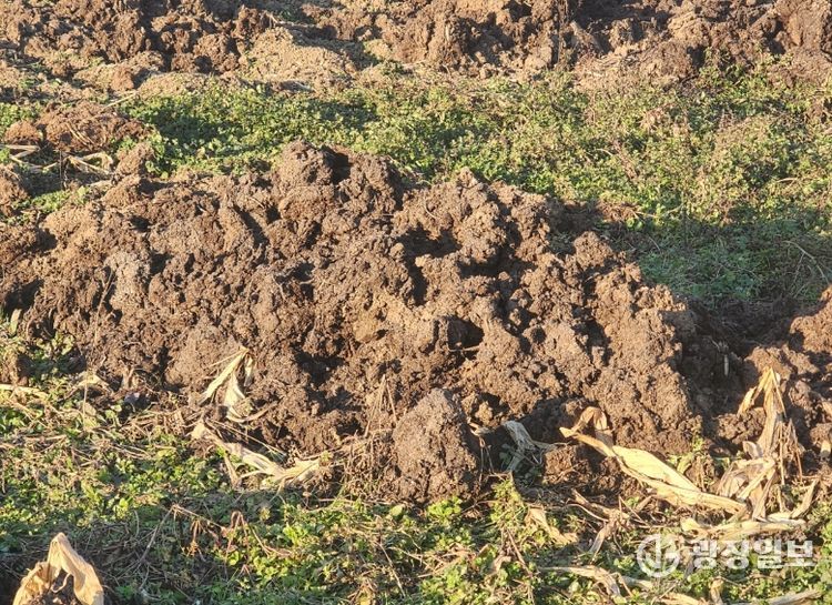 봄철 가축분뇨 및 퇴비 야적 지도·점검 강화